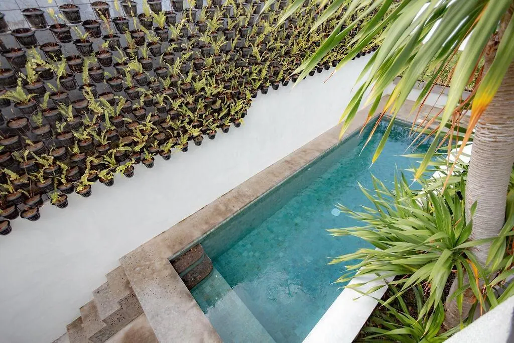 The Drupadi Apartments Town House Lola Seminyak